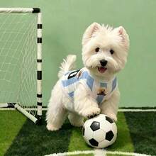 World Cup Pet Jersey Dog Soccer Breathable Bird Eye Pet Clothing Summer Medium Small Dog Cooling Shirt - Baby Blue - View 2