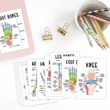 12pcs Skeletal Anatomy Flashcards - Human Skeletal System Diagram Cards, Suitable For Healthcare Professionals And Students' Skeletal Anatomy Learning - Interactive Learning Cards With Labeled Skeletal Diagrams - A - View 6