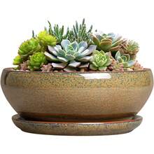 8-Inch Round, Shallow Ceramic Succulent Pot With Drainage Hole And Saucer. Suitable For Indoor And Outdoor Use. Home Decor... - Mottled Coffee - View 1