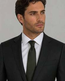 Men's Formal Ties, Versatile For Suits, Suitable For Weddings, Banquets, And Job Interviews. - 軍綠色 - 查看 1