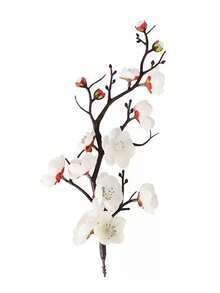 1個多肉仙人掌盆栽，可愛小狐狸裝飾桌面花盆，小型家居裝飾花瓶，辦公室盆栽手工藝禮品花盆 - A - 查看 8