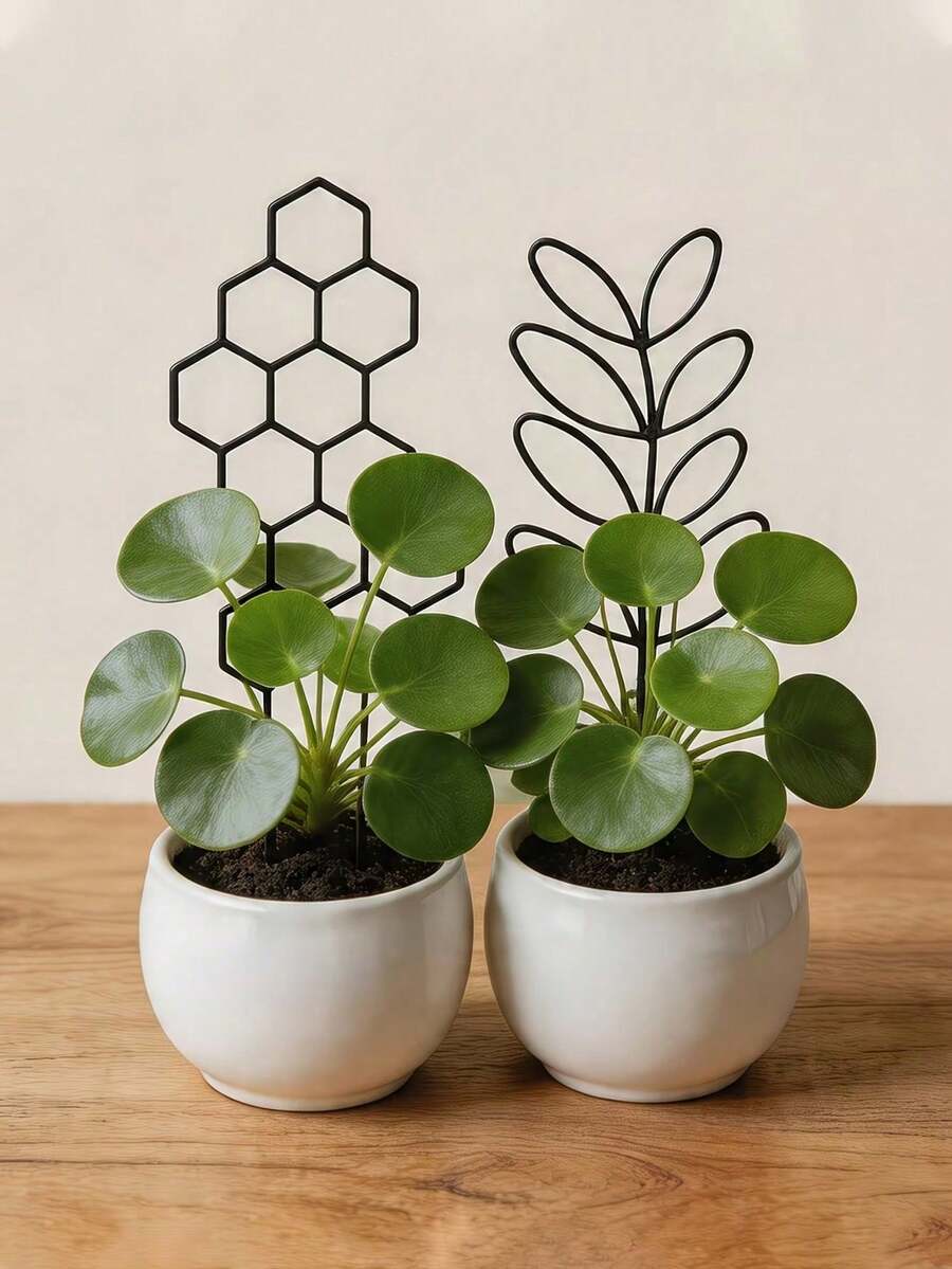 蜂巢植物攀爬架,戶外盆栽植物支撐架,植物攀爬架,防鏽塑料支撐桿,適用於盆栽攀爬植物和花卉,室內/戶外花園省空間支撐架 - 多色 - 查看 1
