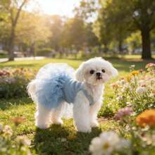 1pc Pet Dog Dress, Elegant Ballet Tulle Skirt Party Dress, Romantic Princess Dress, Suitable For Small Dogs & Cats, Lightweight For Spring/Summer - Multicolor - View 7