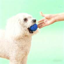 Honeycomb Textured Squeaky Ball For Dogs Rubber Chew Toy Dental Health Toy For Self Play Fetch Interactive Pet Gift - Multicolor - View 10