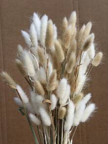 60pcs-16.5 Inch Red Artificial Rabbit Tail Grass, Artificial Rabbit Tail Grass Stems For Home Decor, Suitable For Bohemian Style Floral Arrangements, DIY Crafts, Home Kitchen And Wedding Decor, Christmas Decor, Christmas Thanksgiving Decor, DIY Wreath Decor - White Brown Rabbit Tail Grass - View 2