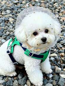 1pc Dog Anti-Ingestion Head Cover, Pet Outdoor Anti-Scavenging Mesh Hood, Breathable Mosquito-Proof Protective Head Cover, Dog Walking Anti-Eating Anti-Licking Anti-Biting Mesh Cover, Suitable For Medium And Small Dogs (Such As Teddy Dogs And Bichon Frise) Anti-Ingestion Mesh Dog Cover - Multicolor - View 6