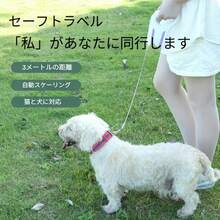 じどうしんしゅくペットリード ライトつき やかんあんしん ちゅうでんしき じどうまきとり こがたいぬ おでかけ - パープル - チェックする 2