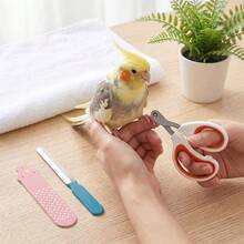 1 Set Pet Bird Nail Trimming Tool Kit, Precision Nail Clippers, Grinder And Beak Grinder, Bird Care Tools, Gentle Trimming Accessories, Suitable For Parrots And Small Birds, Stress-Free Nail Care - Multicolor - View 8