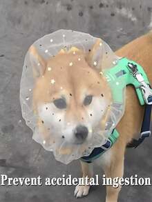 1pc Dog Anti-Ingestion Head Cover, Pet Outdoor Anti-Scavenging Mesh Hood, Breathable Mosquito-Proof Protective Head Cover, Dog Walking Anti-Eating Anti-Licking Anti-Biting Mesh Cover, Suitable For Medium And Small Dogs (Such As Teddy Dogs And Bichon Frise) Anti-Ingestion Mesh Dog Cover - Multicolor - View 1