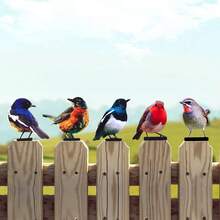 5pcs Realistic Colorful Bird Garden Decor, Outdoor Yard Balcony Landscaping, Colorful Lifelike Bird Iron Art Ornament - Colorful Birds - View 6