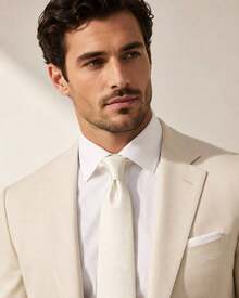 Men's Formal Ties, Versatile For Suits, Suitable For Weddings, Banquets, And Job Interviews. - 米色 - 查看 2