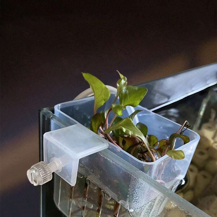 水族箱透明水耕籃壁掛式挺水植物架-家用杯水景造景裝飾 - Plant Basket - 查看 1