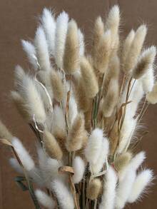 60pcs-16.5 Inch Red Artificial Rabbit Tail Grass, Artificial Rabbit Tail Grass Stems For Home Decor, Suitable For Bohemian Style Floral Arrangements, DIY Crafts, Home Kitchen And Wedding Decor, Christmas Decor, Christmas Thanksgiving Decor, DIY Wreath Decor - White Brown Rabbit Tail Grass - View 3
