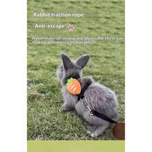 Escape‑Proof Nylon Bunny Harness With Leash, Cute Plush Carrot Decoration Adjustable Chest Strap Walking Harness For Rabbit Guinea Pig Small Pet - Multicolor - View 7