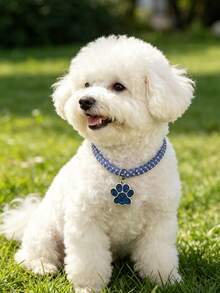 Blue Paw Print Rhinestone Collar, Suitable For Cats And Dogs, Comfortable For Small To Medium Sized Pets, Suitable For Year-Round Wear, Suitable For Home Daily Use Or Outdoor Walking And Playing (Note: Product Is Fragile, Do Not Overstretch) - Blue - View 5