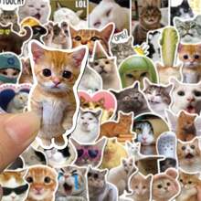 100 pièces Ensemble d'autocollants d'expression de chat amusants – Autocollants en vinyle imperméables mignons, convenant pour téléphone, ordinateur portable, scrapbooking, décoration DIY - Multicolore - Voir 4