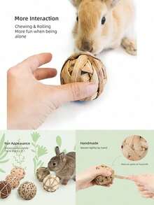 9 piezas de juguetes de actividad para masticar y desgastar para animales pequeños, incluyendo pelota de conejo, conejo, hámster, juguetes para masticar para cobaya, regalo de Navidad, entrenamiento, Día de San Valentín y regalo para animales pequeños - Ver 10