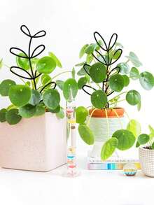 蜂巢植物攀爬架，戶外盆栽植物支撐架，植物攀爬架，防鏽塑料支撐桿，適用於盆栽攀爬植物和花卉，室內/戶外花園省空間支撐架 - 多色 - 查看 5
