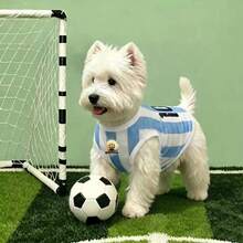 World Cup Pet Jersey Dog Soccer Breathable Bird Eye Pet Clothing Summer Medium Small Dog Cooling Shirt - Baby Blue - View 5