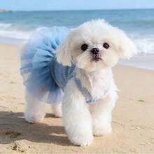 1pc Pet Dog Dress, Elegant Ballet Tulle Skirt Party Dress, Romantic Princess Dress, Suitable For Small Dogs & Cats, Lightweight For Spring/Summer - Multicolor - View 4