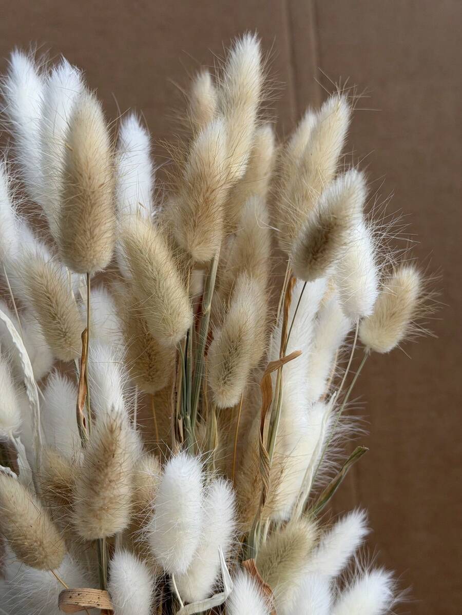 60pcs-16.5 Inch Red Artificial Rabbit Tail Grass, Artificial Rabbit Tail Grass Stems For Home Decor, Suitable For Bohemian Style Floral Arrangements, DIY Crafts, Home Kitchen And Wedding Decor, Christmas Decor, Christmas Thanksgiving Decor, DIY Wreath Decor - White Brown Rabbit Tail Grass - View 1