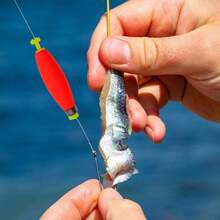 5pcs High Sensitivity Long Weighted EVA Fishing Floats, With Weighted Lead Nail Floats And Cigar Floats, Dual Lock Anti-Slip, Hard To Fall Off, Foam High Buoyancy, Bright Color, Cast Further, Suitable For Outdoor Saltwater And Freshwater Fishing - Multicolor - View 6