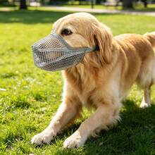 (1pc) Breathable Mesh Dog Muzzle For Long Snout Breeds, Adjustable Dog Mouth Cover, Anti-Bite Anti-Scavenge Anti-Bark Muzzle Allows Drinking & Panting For Labrador, Golden Retriever, Border Collie Medium Large Dogs - Grey - View 5