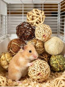 9 piezas de juguetes de actividad para masticar y desgastar para animales pequeños, incluyendo pelota de conejo, conejo, hámster, juguetes para masticar para cobaya, regalo de Navidad, entrenamiento, Día de San Valentín y regalo para animales pequeños - Ver 3
