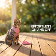 Set Harness dan Tali Anjing Jala Lembut yang Dapat Diatur, Rompi Anak Anjing Anti Tarik, Tali Dada Hewan Peliharaan Anti Lepas untuk Anjing Kecil dan Sedang, Kucing, untuk Jalan-jalan di Luar Ruangan - Berwarna merah muda - View 9