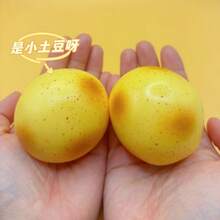 爆紅新款馬鈴薯捏捏樂，柔軟Q彈觸感，流行新式壓力紓壓捏捏玩具，柔軟可拉伸，光滑好捏的日常減壓指尖玩具，耐用不黏手，高評價紓壓禮物 - 彩色 - 查看 6