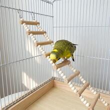 小型至中型鸚鵡適用彈性攀爬梯，適合虎皮鸚鵡、情鳥、牡丹鸚鵡及其他小型至中型鸚鵡，柔軟珠飾籠用攀爬梯，鸚鵡籠吊橋鞦韆裝置，鸚鵡玩具，鳥籠配件，智能鳥類用品 - 經典直梯 - 查看 4