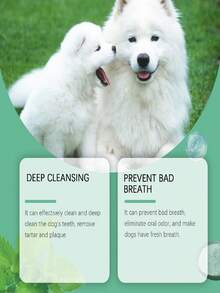 Poudre de nettoyage dentaire pour chiens, formule douce pour l'haleine fraîche et les soins de santé bucco-dentaire. Cette poudre de nettoyage bucco-dentaire est spécialement conçue pour les chiens avec une formule de base douce. Mélangez-la simplement dans la nourriture de votre animal de compagnie pour l'alimentation quotidienne. Une utilisation régulière peut adoucir la plaque et les taches, soulager la mauvaise haleine et apaiser les conditions des gencives. - Voir 5