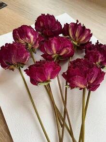 10/20/30/40pcs Artificial Rose Flower Heads, Micro Landscape Decoration, DIY, Gift Packaging Decoration - Red 1 - View 6