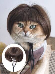 Humorous Pet Headwear, Including Cat And Dog Wigs With Bangs, Braids And Afro Designs, Perfect For Cosplay, Photography And Party Costumes, Halloween - Multicolor - View 10