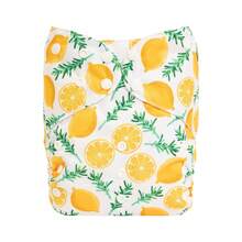 ALVABABY Large Reusable Cloth Diapers For Babies 1-3.5 Years Old, Cloth Diapers For Children - ZH179A - View 1