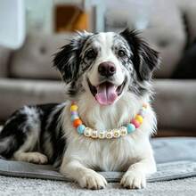 Kalung Hewan Peliharaan Manik-Manik Kustom dengan Gesper, Kalung Nama Anjing dan Identitas Kucing yang Dipersonalisasi, Kalung Hewan Peliharaan Manik-Manik Tahan Air yang Dapat Diatur, Cocok untuk Anjing dan Kucing - Kalung hewan peliharaan silikon - View 5