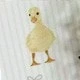 Verschiedenfarbig