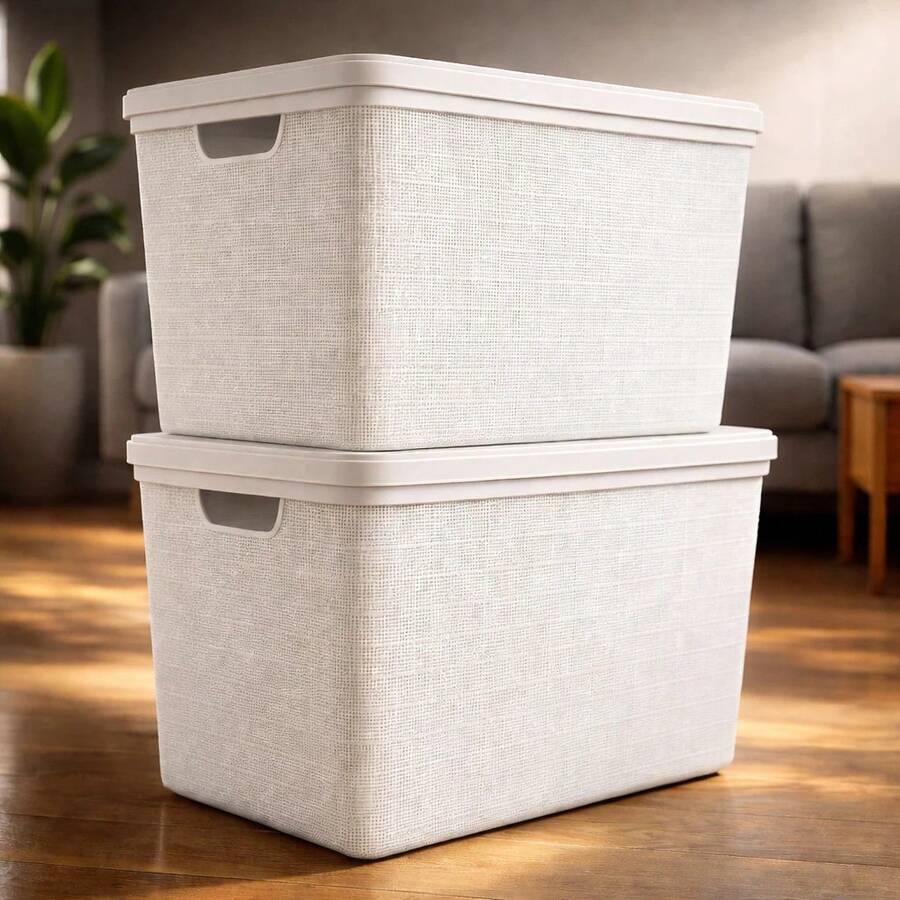 RVS E-COMMERCE Kit 2 Organizer Box With Lid 22 Liters Large Bathroom Kitchen Jaguar Utilities - Beige - View 1