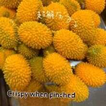 創意減壓脆皮榴槤捏捏樂，顆粒觸感與清脆聲響，矽膠軟萌玩具（吊飾顏色隨機），生日禮物、理想禮物、驚喜禮物、節日禮物、情侶禮物、禮物 - 彩色 - 查看 8