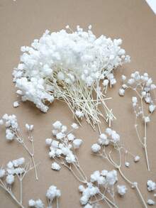 50/100/300pcs Artificial Mini Baby's Breath, Suitable For Wedding Floral Arrangement, Party Decoration, Birthday, Outdoor Garden Decor, Mother's Day Decor, Valentine's Day Decor, Gifts, Graduation Decoration - Bleaching - View 8