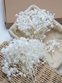 50/100/300pcs Artificial Mini Baby's Breath, Suitable For Wedding Floral Arrangement, Party Decoration, Birthday, Outdoor Garden Decor, Mother's Day Decor, Valentine's Day Decor, Gifts, Graduation Decoration - Bleaching - View 1
