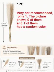 10pcs Beige/Black Faux Pampas Grass Stems, Artificial Reed Plant Plume Decor, Realistic Fluffy Feathers Style, Soft And Elegant Home Accent, Perfect For Vase Arrangements, Modern Boho Style Decoration For Living Room, Bedroom, Or Dining Room - Color Mixing - View 11