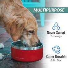 Coldest - tazón para perros tazón para perros de metal antioxidante y antideslizante, grande, a prueba de derrames, resistente 3 capas aislado, tazón de comida y agua para perros, gatos y mascotas - Purpurina rosa eterna - Ver 8
