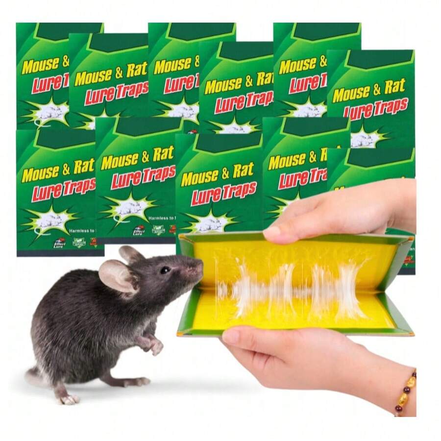黏鼠貼,適用於老鼠、齧齒動物和家鼠;黏鼠紙;鼠夾 - B - 查看 1