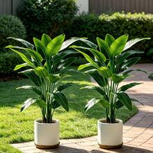 2pcs Artificial Banana Tree, Low Maintenance Plastic Decor, Suitable For Indoor And Outdoor Use. Perfect For Garden, Wedding, Home, Office, Ideal For Hawaiian Modern Nordic Or Tropical Theme Design. Suitable For Home, Office, Wedding, Party, Porch And Windowsill Decoration, No Maintenance, No Power Required, Indoor And Outdoor Decor, Modern Decor, Natural Appearance - Multicolor - View 9