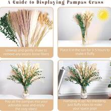 36/72pcs Bohemian Style Artificial Reed Rabbit Tail Grass Home Decor Bouquet, Reed Eucalyptus Flower Arrangement For Wedding Floral Decoration And Living Room Decor - T003 - View 6