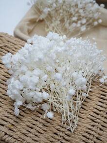 50/100/300pcs Artificial Mini Baby's Breath, Suitable For Wedding Floral Arrangement, Party Decoration, Birthday, Outdoor Garden Decor, Mother's Day Decor, Valentine's Day Decor, Gifts, Graduation Decoration - Bleaching - View 4
