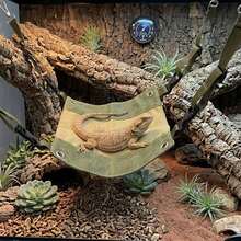 Small Pet Hammock Lizard Resting Swing Basking Platform Comfortable Wear-Resistant Durable With Four Corner Hooks Adjustable Easy Installation - View 1