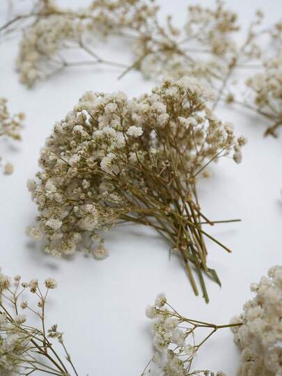 25/52/102/298 Pcs, Artificial White Mini Baby Breath Flower Vase For Wedding, Home, Office, Party, Garden, Card Making, DIY Decoration