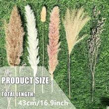 36/72件波希米亞風人造蘆葦草兔尾草家居裝飾花束，蘆葦尤加利葉花束，適用於婚禮花藝布置、客廳裝飾 - T001 - 查看 2